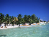 Isla Mujeres  Yucatan  Mexico  North America