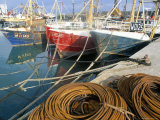 Fishing Port  Kilmore Quay  County Wexford  Leinster  Eire (Ireland)