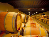 Cellars of Chateau Lynch Bages  Pauillac  Aquitaine  France
