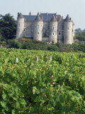 Chateau of Luynes  Indre Et Loire  Loire Centre  Loire Valley  France