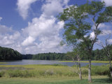 Indian Field Creek  on Colonial Highway  Near Williamsburg  Virginia  USA
