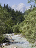 Bistrica River and Forest with Stenar Mountain Beyond in Summer  Triglav National Park  Mojstrana