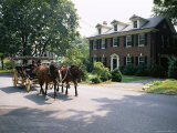 Horse and Carriage in Lee Avenue  Lexington  Virginia  United States of America  North America