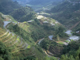 Banaue Terraced Rice Fields  UNESCO World Heritage Site  Island of Luzon  Philippines