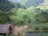 Ifugao Village of Banga-An  Northern Area  Island of Luzon  Philippines  Southeast Asia