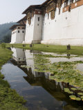 Punakha Dzong  Punakha  Bhutan