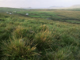 Dingle Peninsula  County Kerry  Munster  Republic of Ireland (Eire)