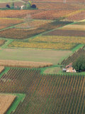 View from the Village of Belaye of the Vineyards of Cahors  Vallee Du Lot  Midi-Pyrenees  France