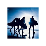 Endless Summer I