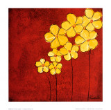 Yellow Daisy Garden