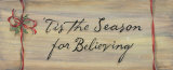 Tis The Season For Believing