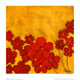 Red Poppy Garden