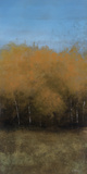 Beyond The Trees II