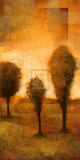 Transitional Moment II