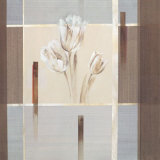 Silver Dream II