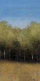 Beyond The Trees I