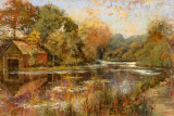Autumnal Reflections