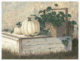 White Pumpkins