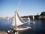 Feluccas on the River Nile  Aswan  Egypt  North Africa  Africa