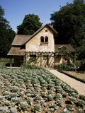 Hameau De Trianon  Palace Grounds  Versailles  Ile De France  France