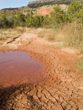 Palo Duro State Park  Near Amarillo  Texas  USA