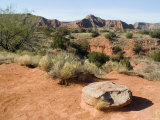 Palo Duro State Park  Near Amarillo  Texas  USA