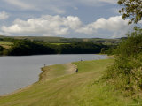 The Llys-Y-Fran Reservoir and Country Park  Pembrokeshire  Wales  United Kingdom