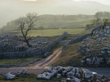 Yorkshire Dales Near Settle  Yorkshire  England  United Kingdom