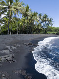 Punaluu Black Sand Beach  Island of Hawaii (Big Island)  Hawaii  USA