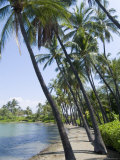 Waikaloa Beach  Island of Hawaii (Big Island)  Hawaii  USA