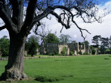 Jervaux Abbey Near Masham  North Yorkshire  Yorkshire  England  United Kingdom