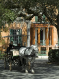Savannah  Georgia  USA