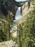 Yellowstone Canyon  Yellowstone National Park  Unesco World Heritage Site  Wyoming  USA