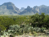 Big Bend National Park  Texas  USA
