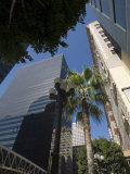 Downtown  Los Angeles  California  USA