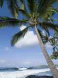 Beach at Kailua-Kona  Island of Hawaii (Big Island)  Hawaii  USA