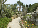 Jardin Exotique  Moneghetti  Monaco