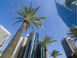 Downtown  Bonaventure Hotel in Background  Los Angeles  California  USA