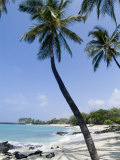 Kona State Beach  Island of Hawaii (Big Island)  Hawaii  USA
