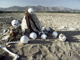 Nazca Desert Cemetery  Peru  South America