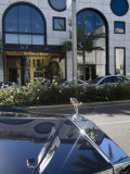 Rodeo Drive  Beverly Hills  California  USA
