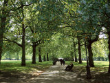 Green Park  London  England  United Kingdom