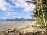Four Mile Beach  Port Douglas  Queensland  Australia