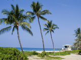 Hapuna Beach  Island of Hawaii (Big Island)  Hawaii  USA