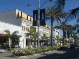 Rodeo Drive  Beverly Hills  California  USA