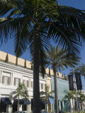 Rodeo Drive  Beverly Hills  California  USA
