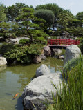 Japanese Gardens  Monte Carlo  Monaco