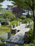 Japanese Gardens  Monte Carlo  Monaco