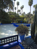 Jardin Majorelle  Marrakech  Morocco  North Africa  Africa