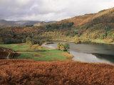 Loughrigg Fell  Rydal  Lake District National Park  Cumbria  England  United Kingdom